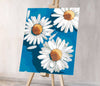 Chamomile On A Blue Background (Sc0656)